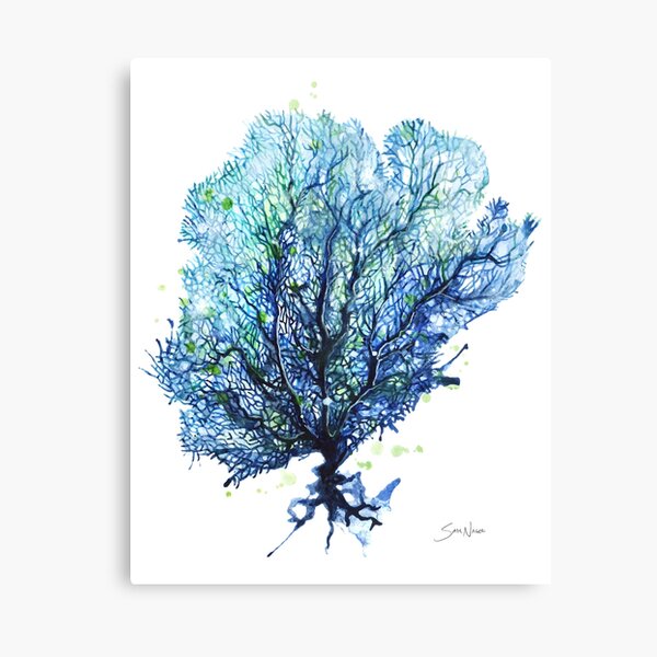 Fan Coral - Aqua Canvas Print