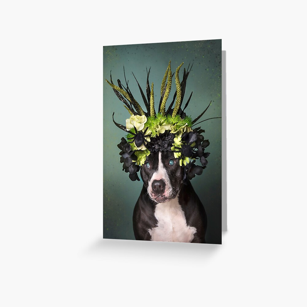 Item preview, Greeting Card designed and sold by SophieGamand.