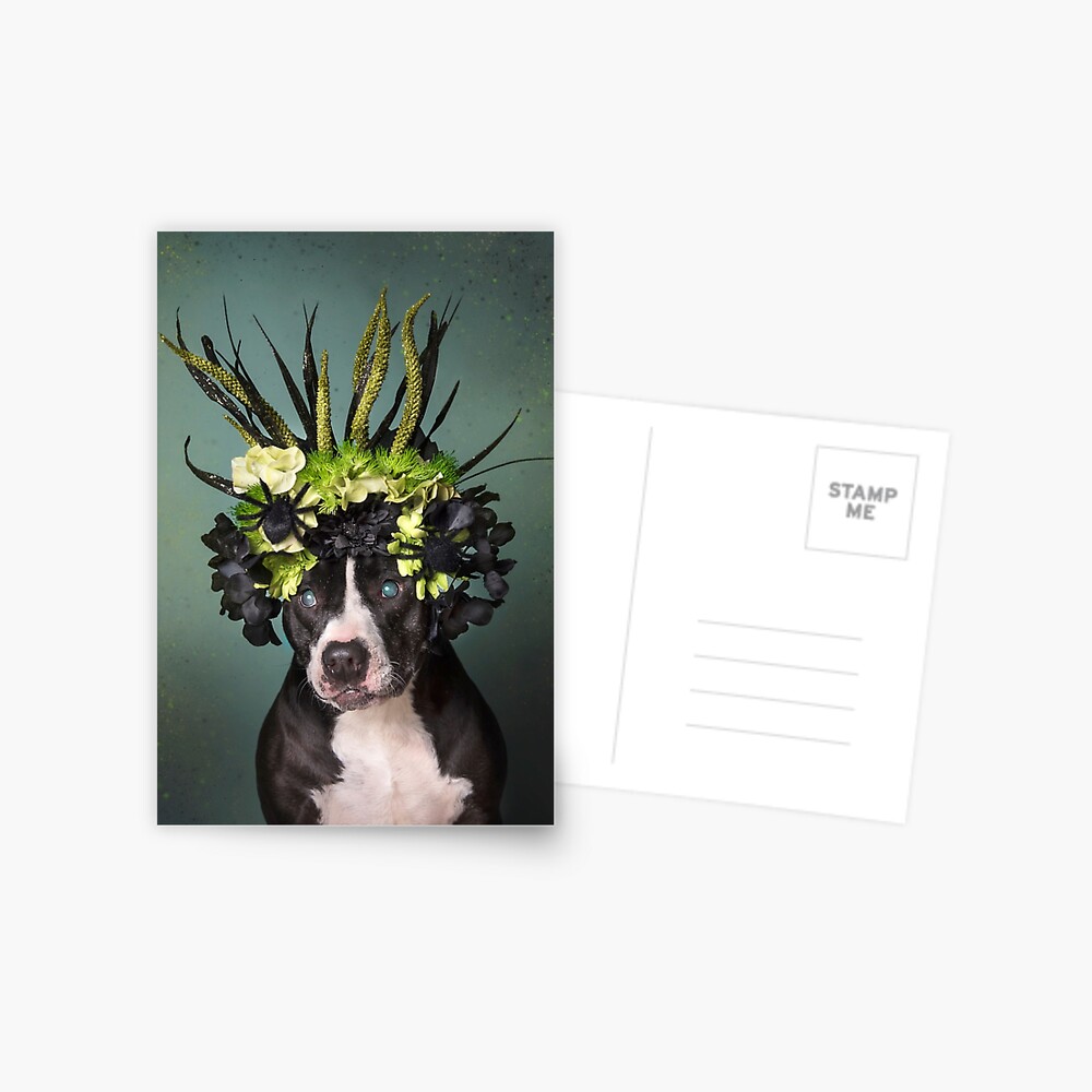 Item preview, Postcard designed and sold by SophieGamand.