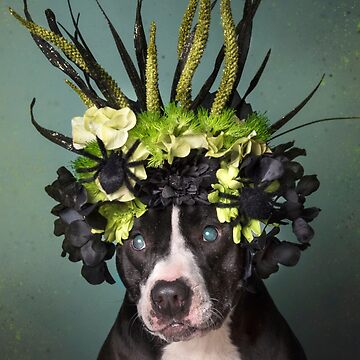 Artwork thumbnail, Flower Power, Darla by SophieGamand