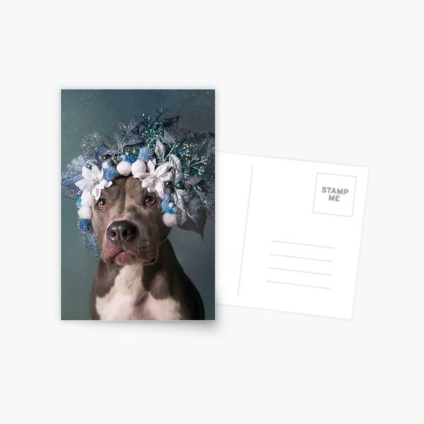 Flower Power, Patsy Postcard