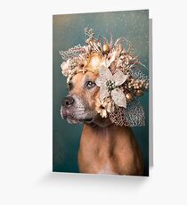 Flower Power, Hoffnung Grußkarte