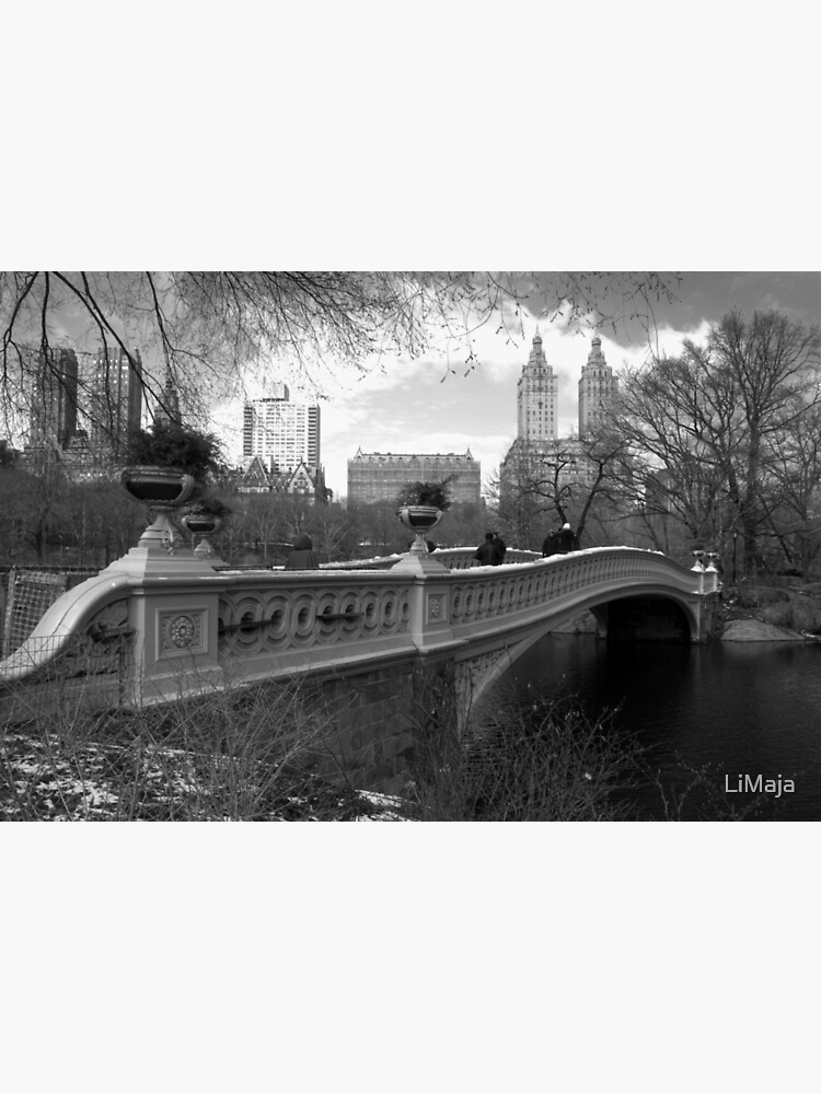 "Central Park, New York" Poster for Sale by LiMaja Redbubble