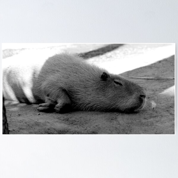 Sleepy Time Poster
