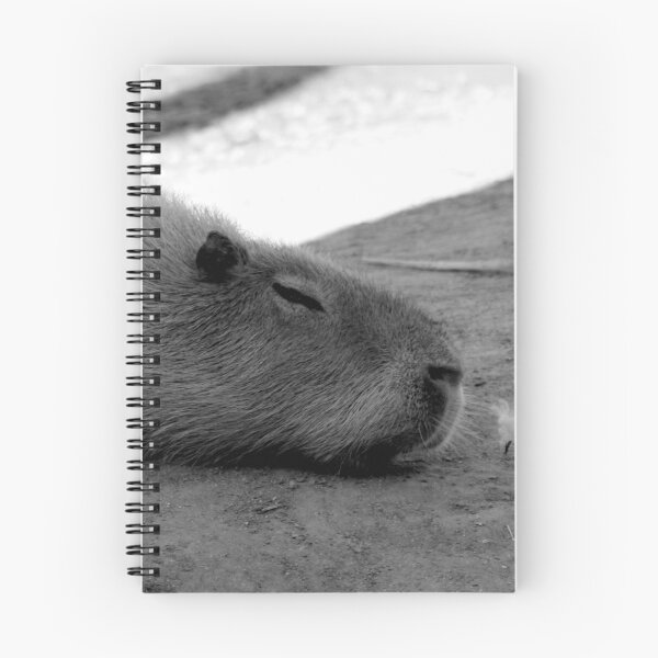 Item preview, Sleepy Time designed and sold by 1081 Creative.