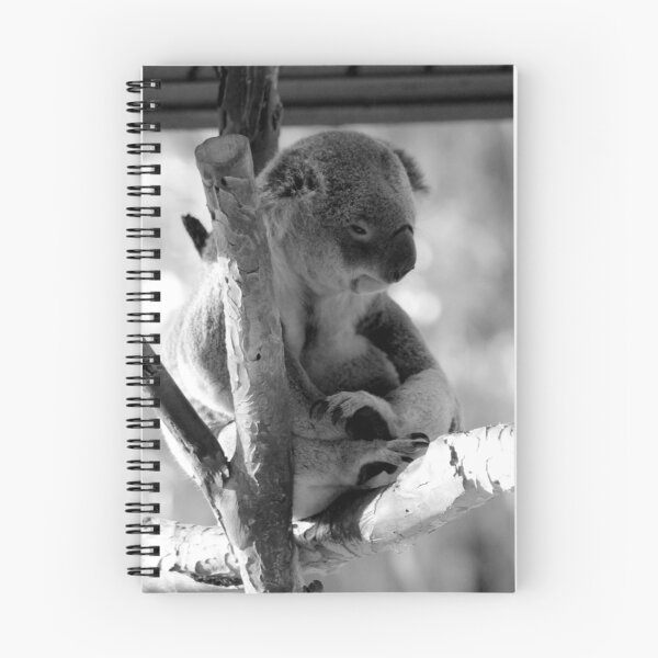 Artikelvorschau, Der stoische Koala entworfen und verkauft von 1081 Creative.