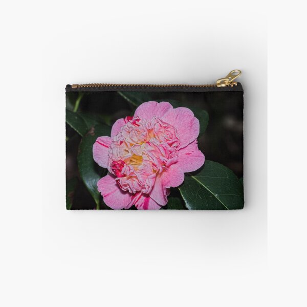 Item preview, Multipetalled pink Camelia Leith Park 20170628 0800 designed and sold by Fred Mitchell.