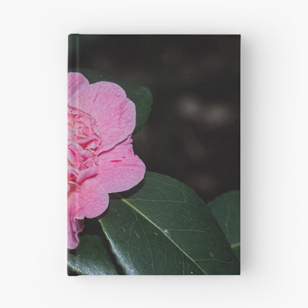 Item preview, Multipetalled pink Camelia Leith Park 20170628 0800  designed and sold by Fred Mitchell.