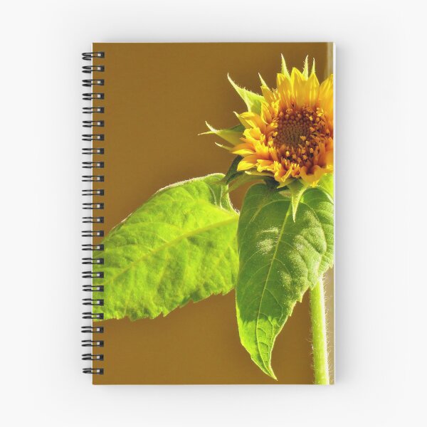 Item preview, Sunflower designed and sold by Alberto  DeJesus.