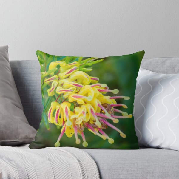 Item preview, Grevillea alpina x rosmarinifolia designed and sold by pcbermagui.