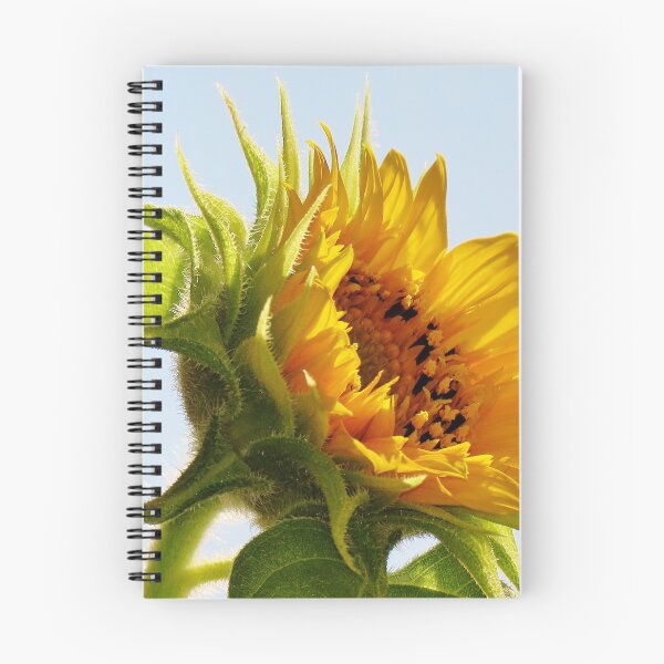 Artikelvorschau, Sonnenblume entworfen und verkauft von Alberto DeJesus.