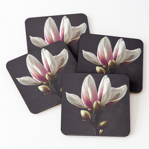 Item preview, Floweries - V14 - Magnolia designed and sold by dioeye.