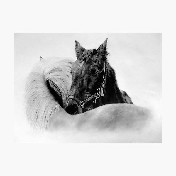 Horses by Mearqur Photographic Print
