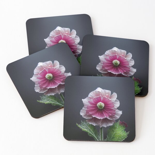 Item preview, Floweries - V10 - Alcea designed and sold by dioeye.