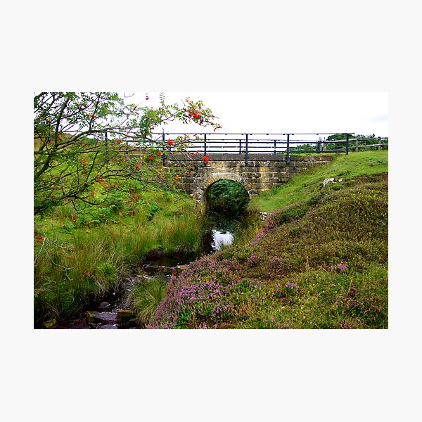 Item preview, Hartoft Beck designed and sold by Trevor Kersley.