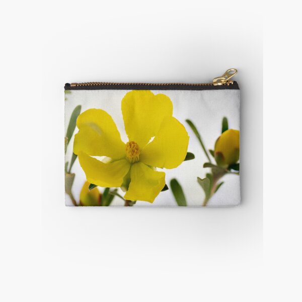 Item preview, Guinea Flower - Hibbertia riparia designed and sold by pcbermagui.