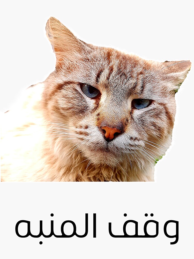 "cat stop alarm clock" Sticker for Sale by fxwalidpub Redbubble