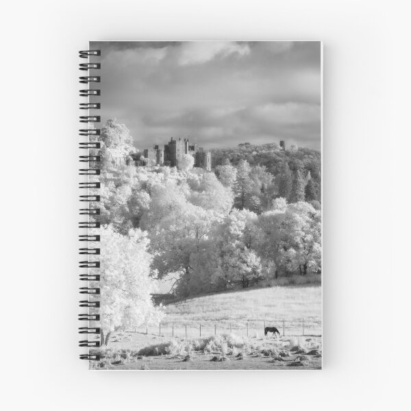 Item preview, Dunster Castle Black & White designed and sold by Craig Joiner.