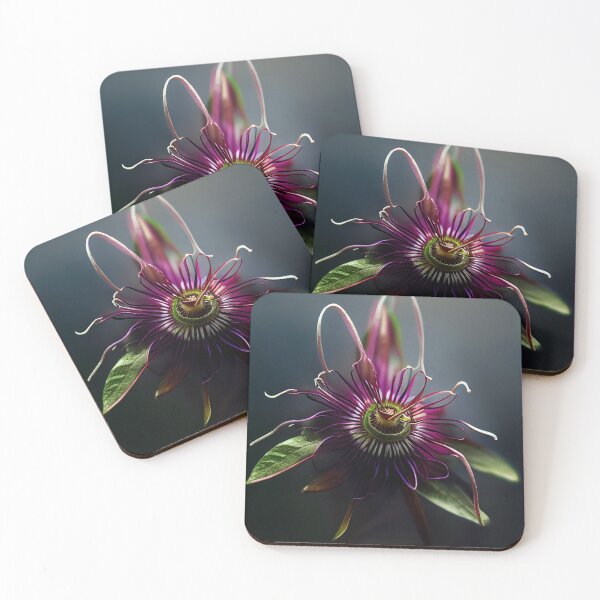 Item preview, Floweries - V4 - Passionflower  designed and sold by dioeye.