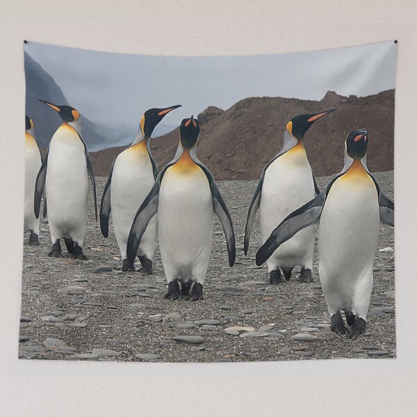 Item preview, King Penguins on Parade designed and sold by Marylou Badeaux.