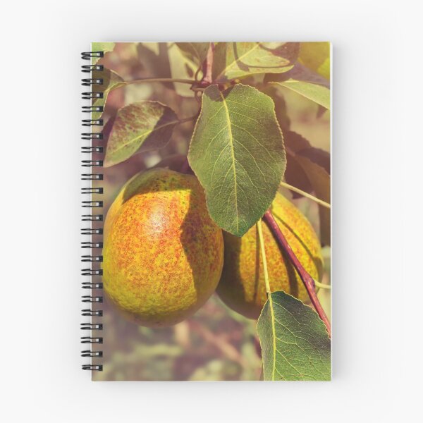 Item preview, Pear on a branch designed and sold by OllegNik.