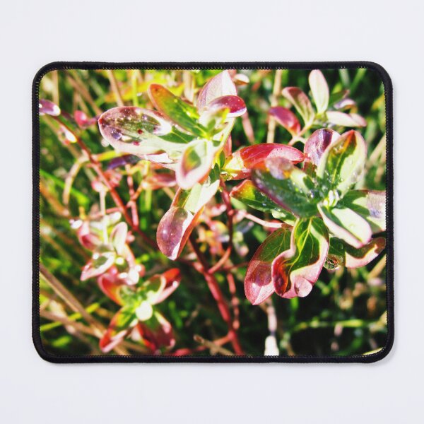 Item preview, nature aesthetic leaves photography | nature photography designed and sold by lausn.