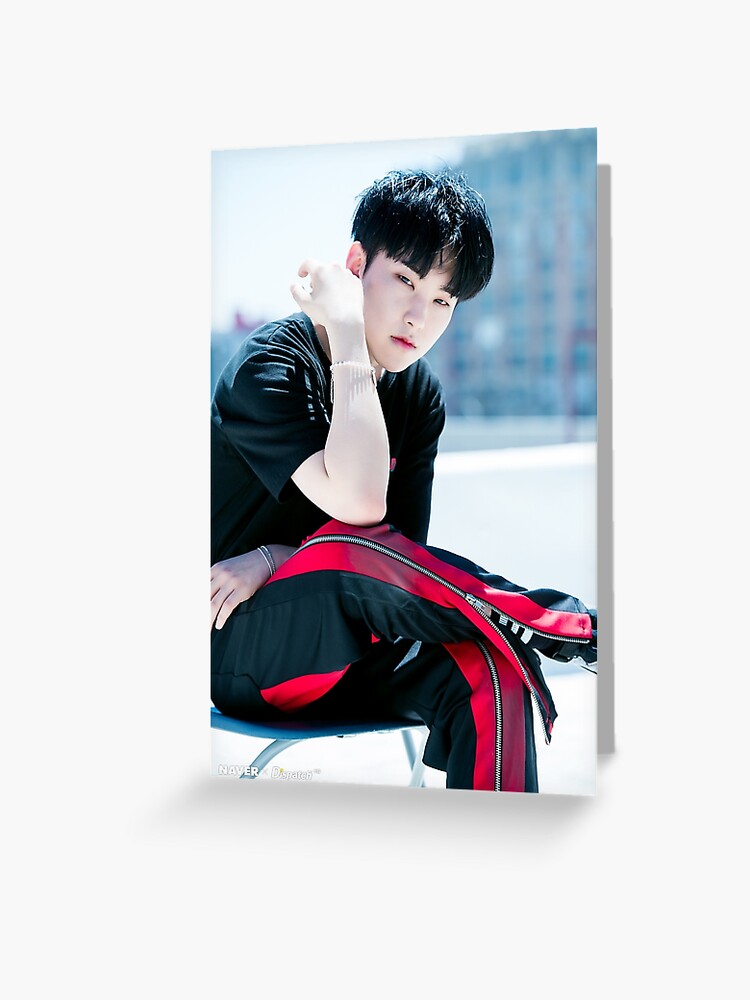 SEVENTEEN HOSHI Al1 discount photocard set