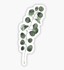 eucalyptus Sticker