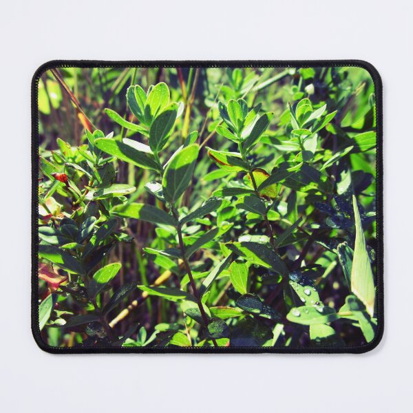 Item preview, Nature leaves aesthetic photography | wild plant leaves photography designed and sold by lausn.