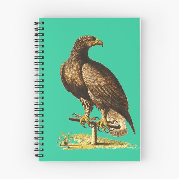 Item preview, The Eagle (White tailed Eagle)  Bird HD vintage image from encyclopedia number 1 designed and sold by MINDTHECHERRY.