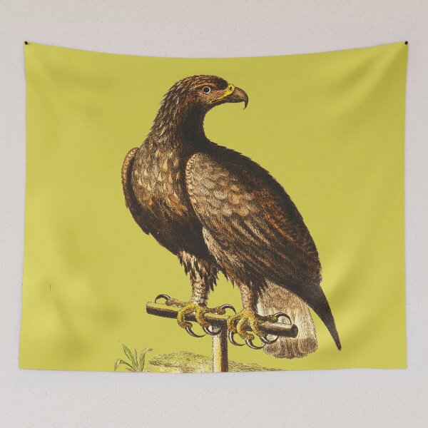 Item preview, The Eagle (White tailed Eagle)  Bird HD vintage image from encyclopedia number 1 designed and sold by MINDTHECHERRY.
