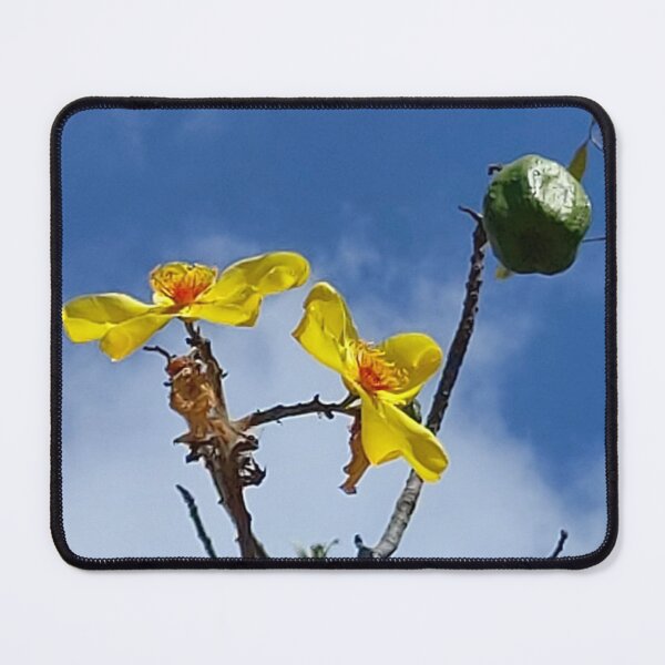 Item preview, Kapok Tree designed and sold by MickAndoDesigns.