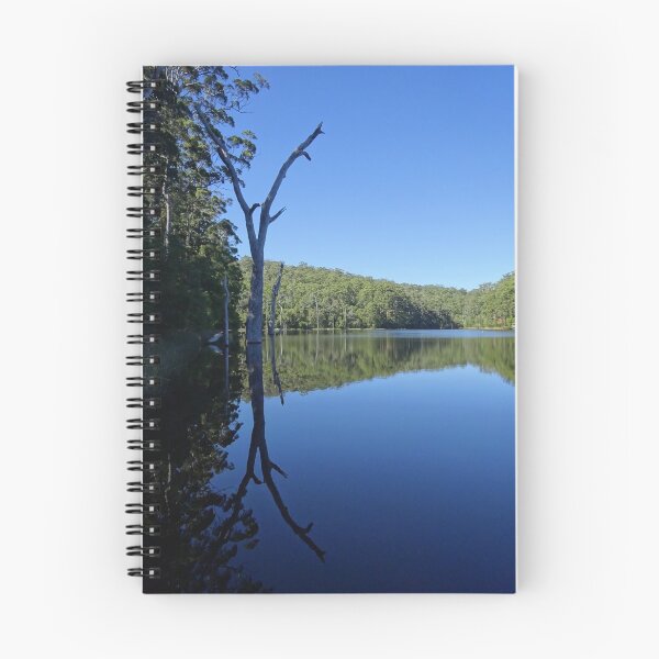 Item preview, Reach High - Lake Beedelup, Karri Valley designed and sold by Lunaqwa.