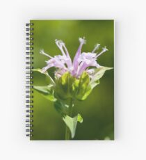 Bee Balm Spiral Notebook
