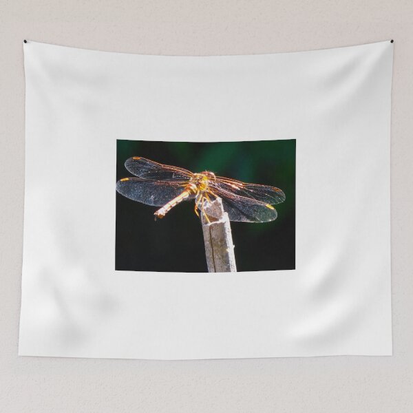 Item preview, Stepping up designed and sold by MarianBendeth.