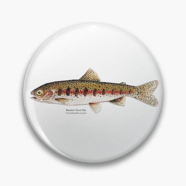 Rainbow Trout Pins and Buttons for Sale