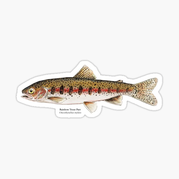 Fish Fry Stickers for Sale, Free US Shipping