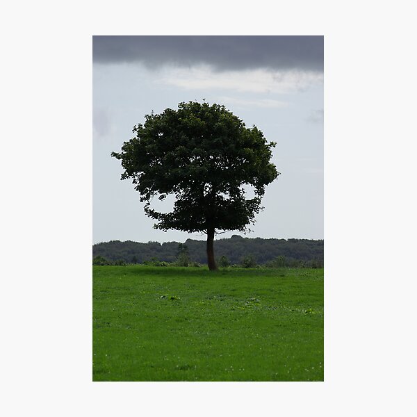 Item preview, The Tree designed and sold by celticshot.