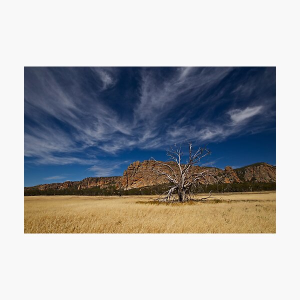 Item preview, Mount Arapiles - Dead Tree designed and sold by GregoryThompson.