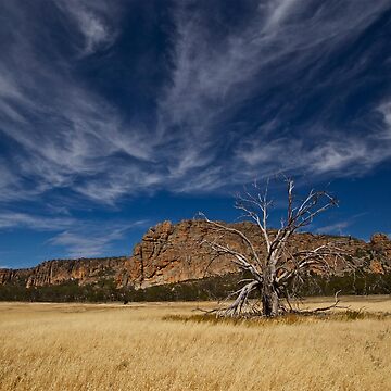 Artwork thumbnail, Mount Arapiles - Dead Tree by GregoryThompson