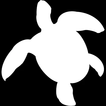 Artwork thumbnail, Turtle by Raveneffecttr