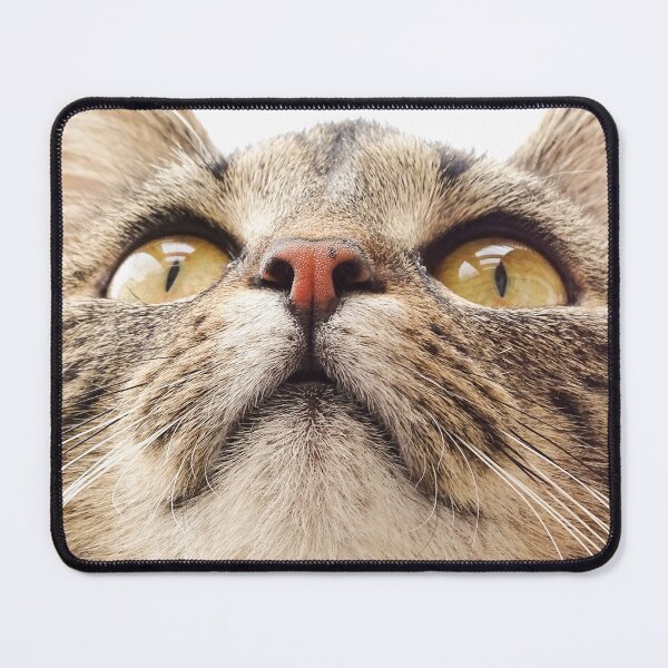 Item preview, Cat Minka designed and sold by Lalingla.