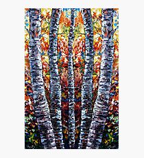 Aspen Trees Photographic Print