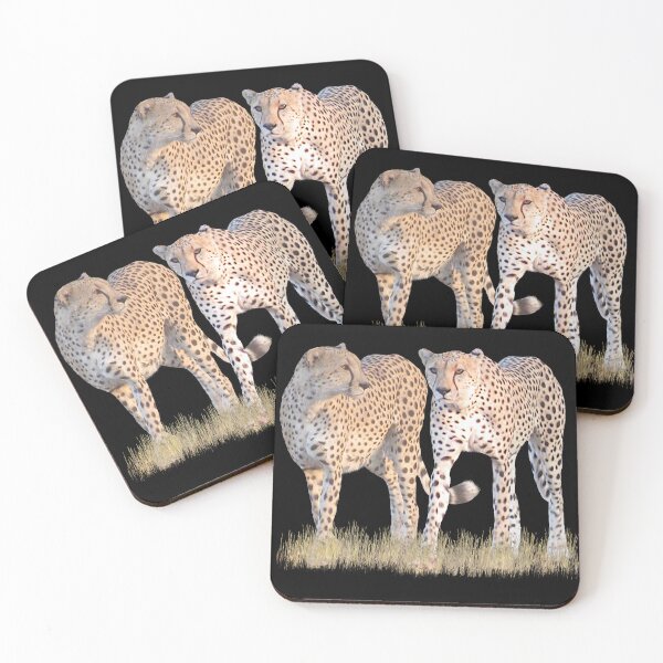 Item preview, 2 cheetahs - big cats - cats - Kenya / Africa designed and sold by TShirtsundMehr.