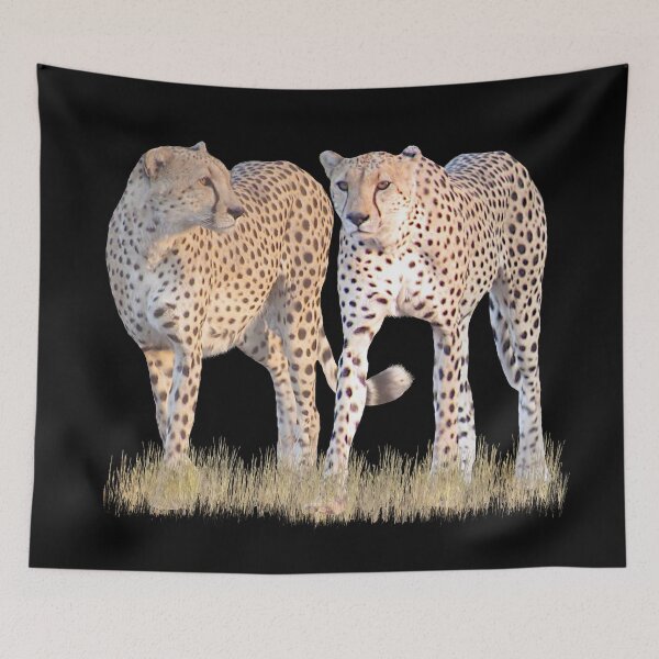 Item preview, 2 cheetahs - big cats - cats - Kenya / Africa designed and sold by TShirtsundMehr.