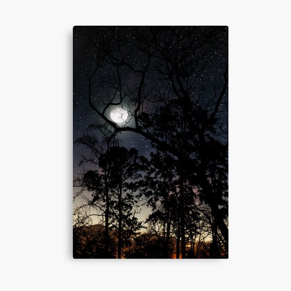 Aperçu de l'œuvre Forêt Noire créée et vendue par Victoria Avvacumova.