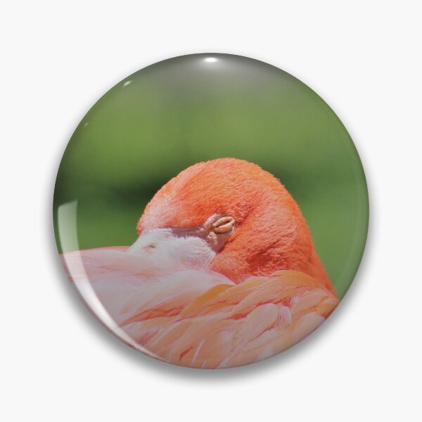 Item preview, flamingo photograph taken at the zoo designed and sold by JukeBoxPixelArt.