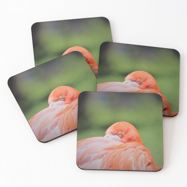 Item preview, flamingo photograph taken at the zoo designed and sold by JukeBoxPixelArt.