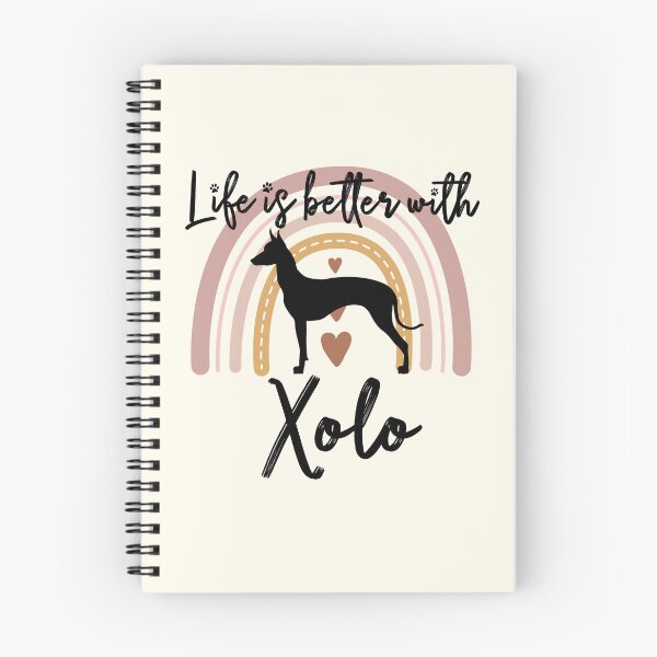 Item preview, Xoloitzcuintli Xolo Dog Rainbow Aesthetic Boho designed and sold by rafaeltto.