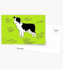 Border Collie Postcards